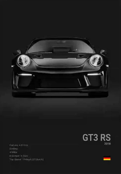 PORSCHE GT3 RS