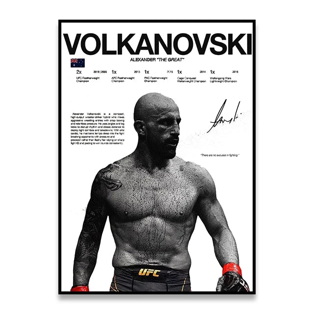 UFC-VOLKANOVSKI