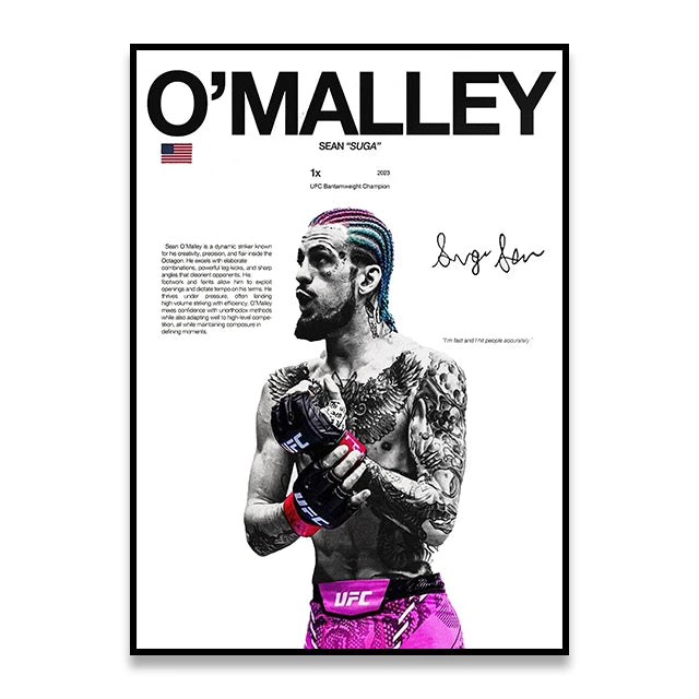UFC-O'MALLEY