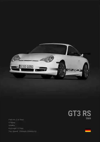 PORSCHE GT3 RS