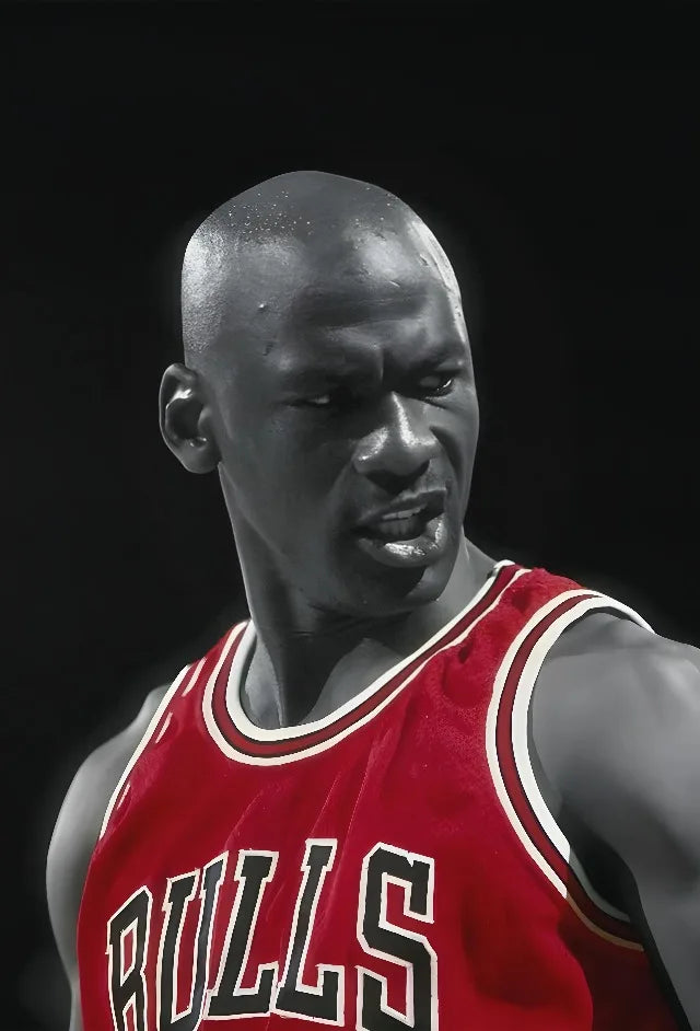 CHICAGO BULLS